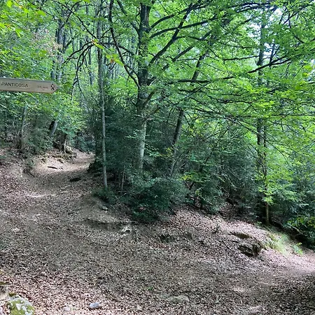 Casa Francho 3 * Panticosa